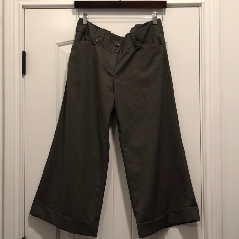 Express crop wide leg dress pants.